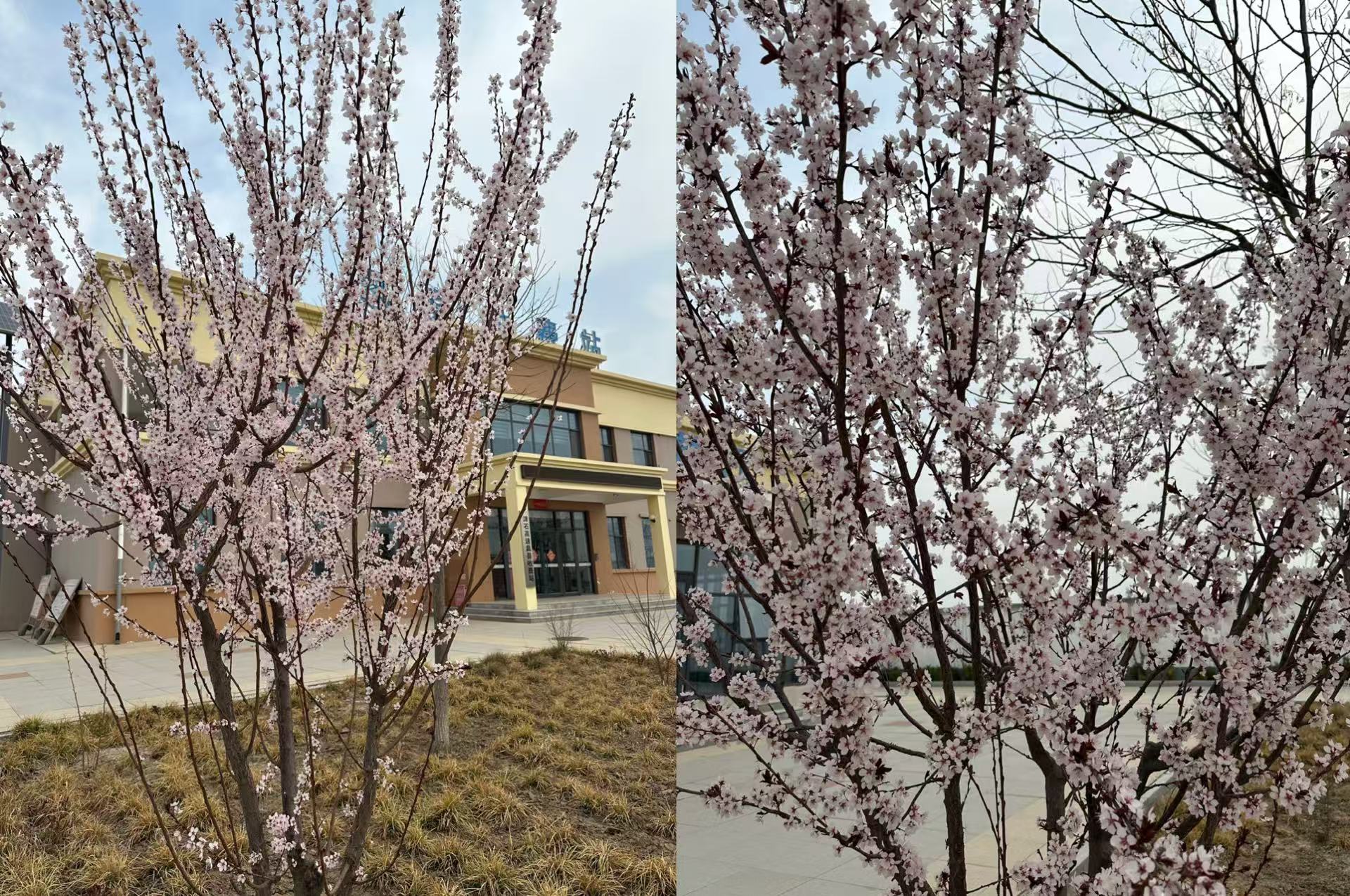 9992480b87e97640e0978b663bfaf9d.jpg 9992480b87e97640e0978b663bfaf9d.jpg