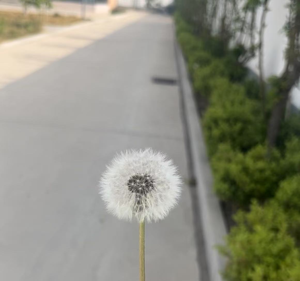 9833d17876ca32024a7a4338245ecf4.jpg 9833d17876ca32024a7a4338245ecf4.jpg