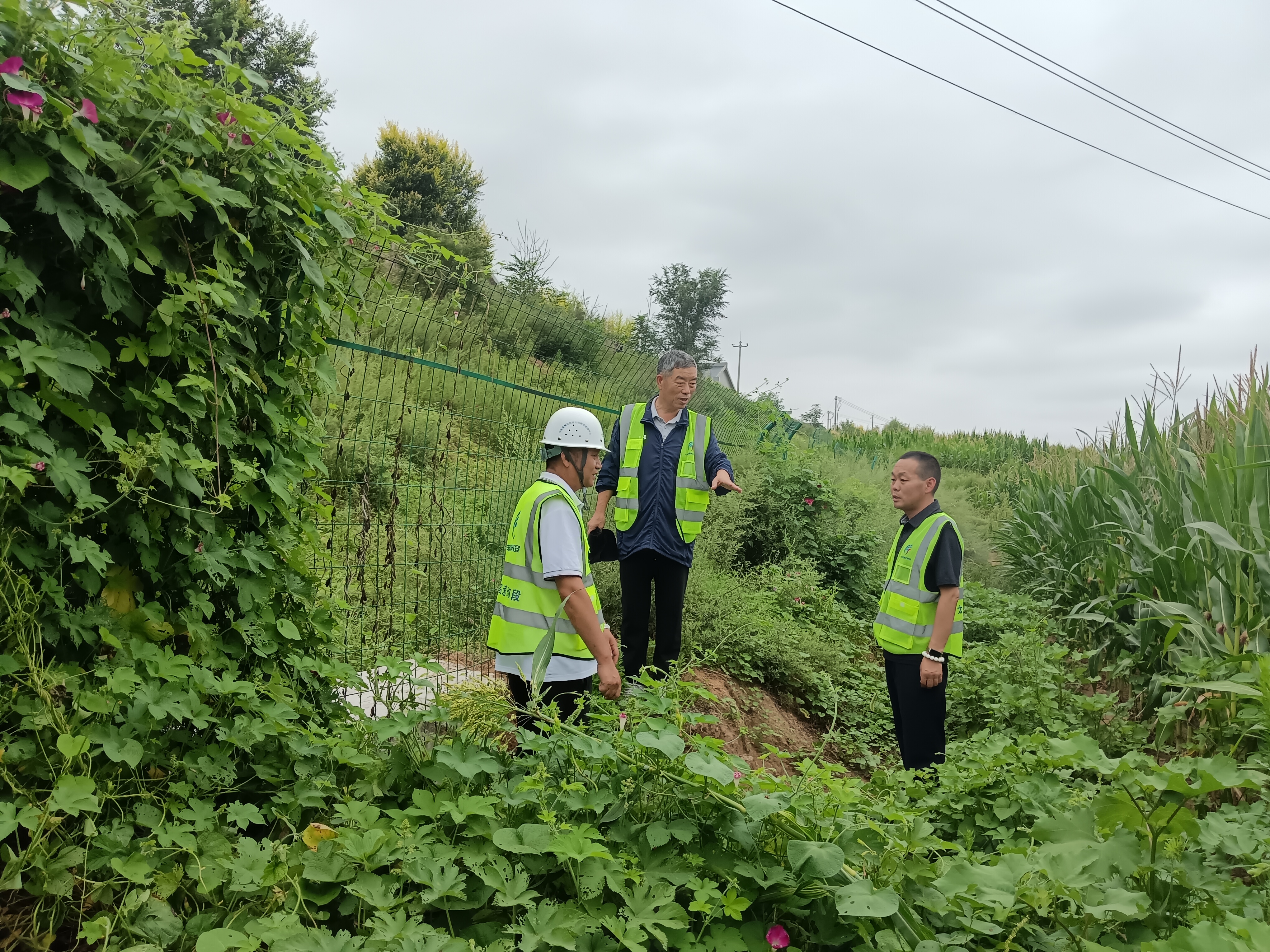 ca2b99d14b95a24803bc63c98e185ffd.jpg ca2b99d14b95a24803bc63c98e185ffd.jpg